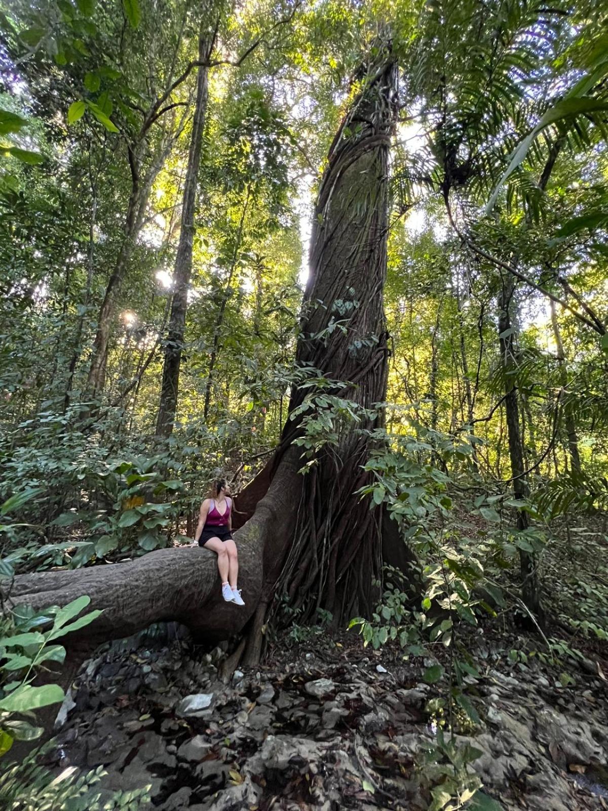 Luz De Estrella Studios Cabuya  Luaran gambar